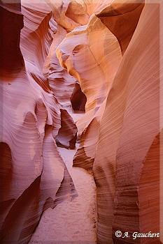 Canyonverlauf im Lower Antelope